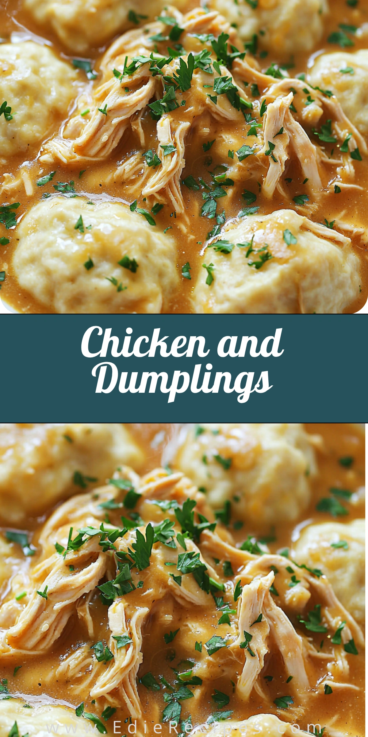 Chicken and Dumplings