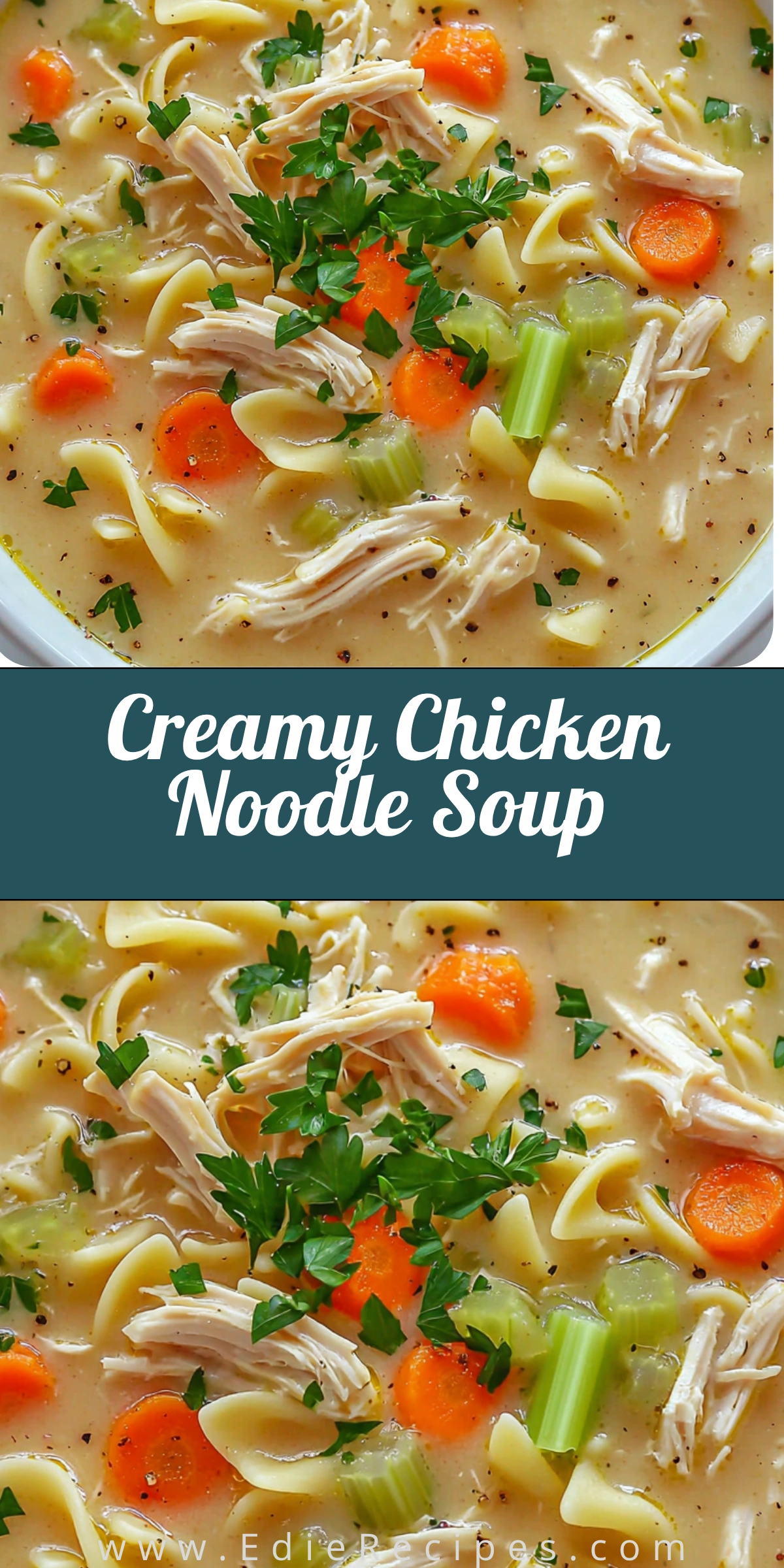 Creamy Chicken Noodle Soup