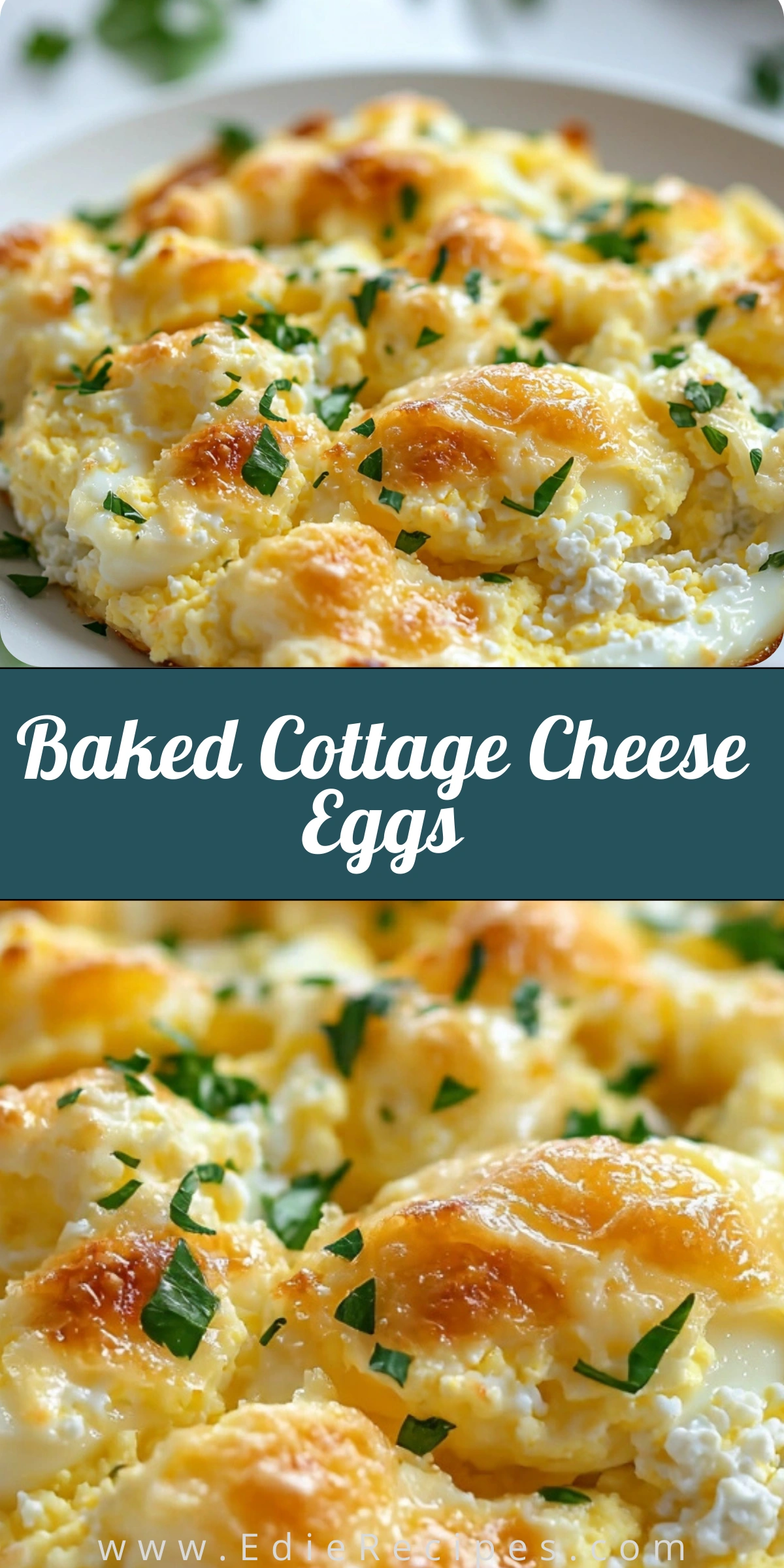 Baked Cottage Cheese Eggs