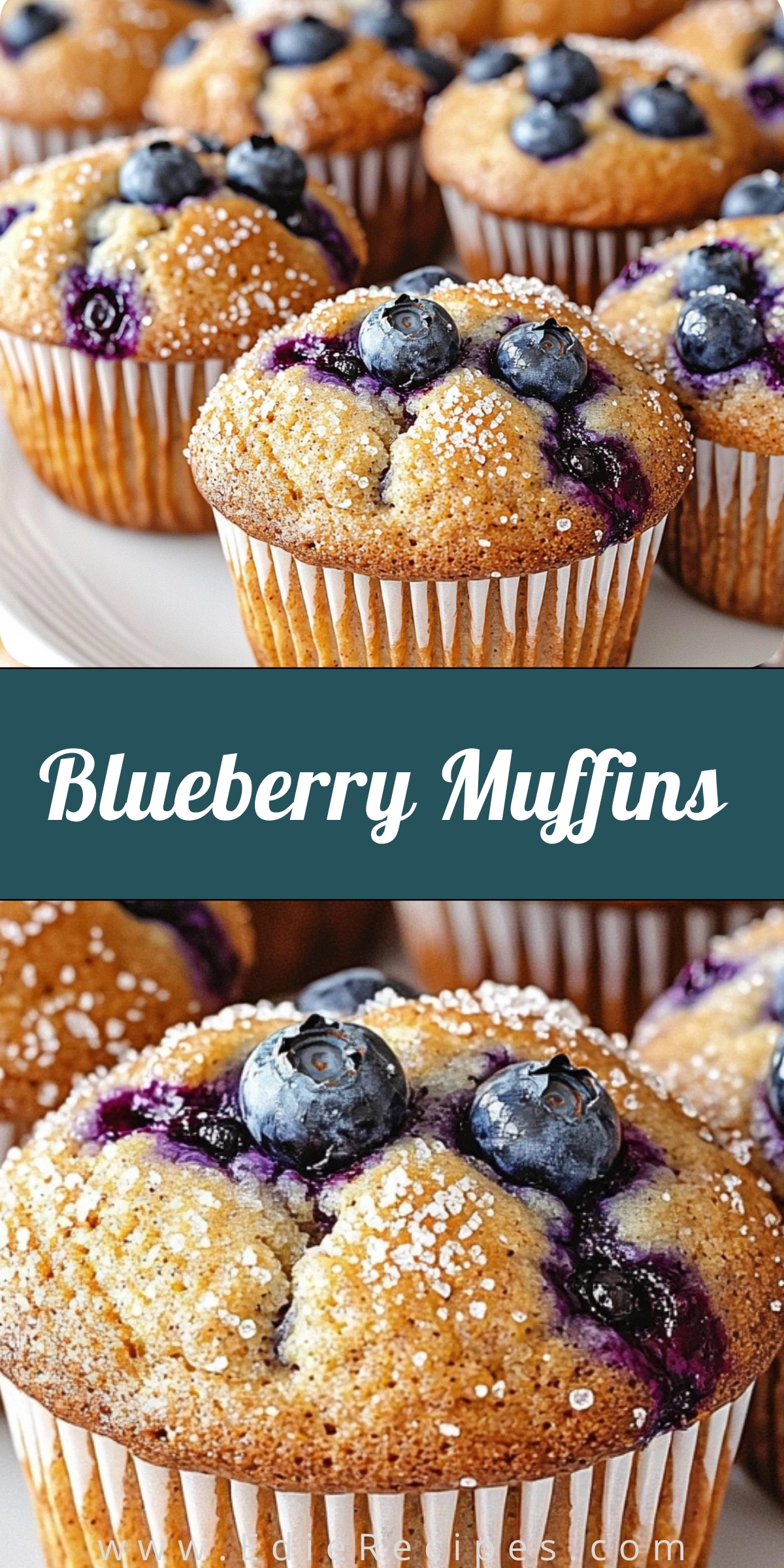Blueberry Muffins