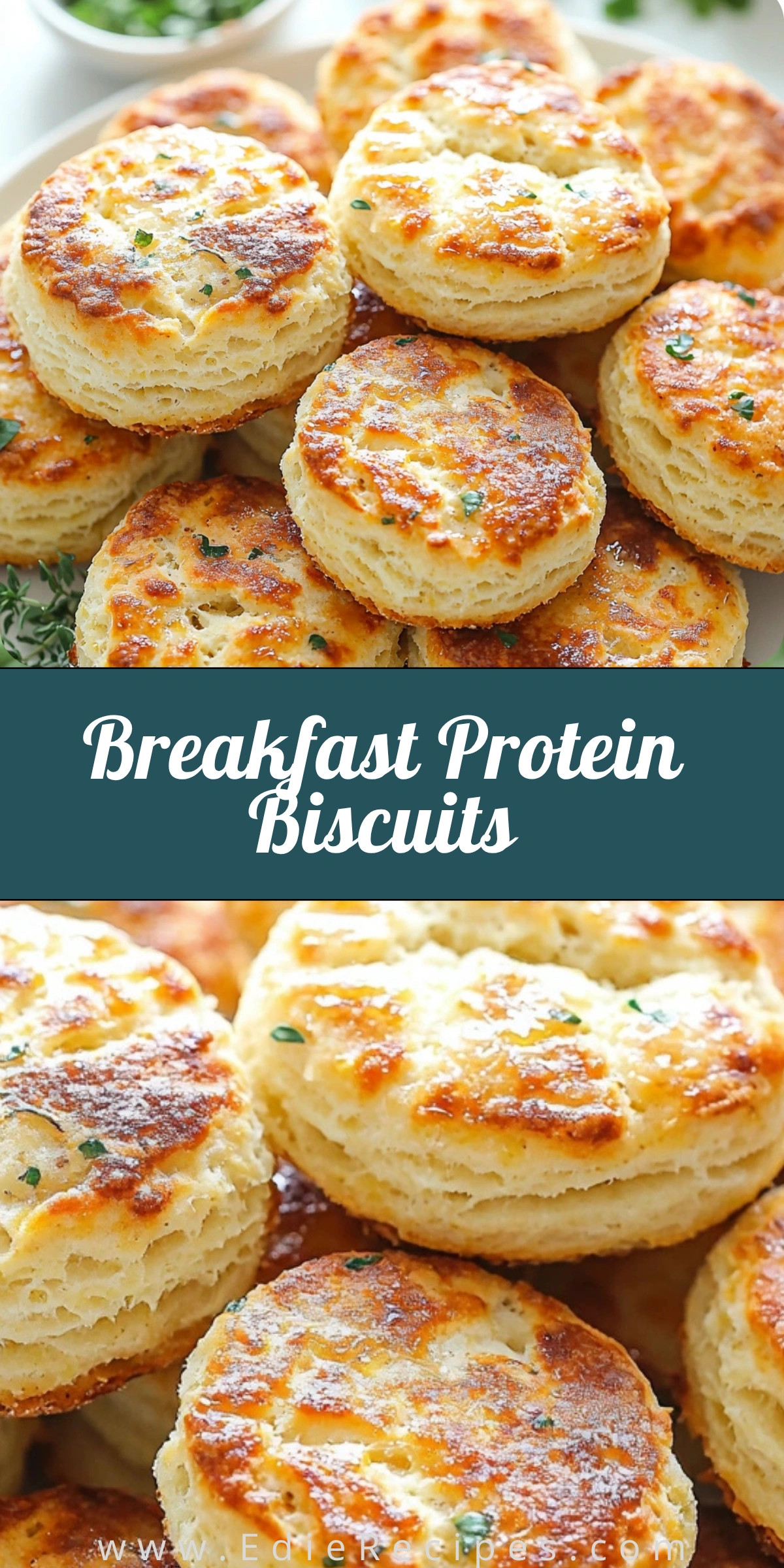 Breakfast Protein Biscuits