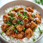 Caramelised Soy Chicken in Garlic Ginger Broth with Rice