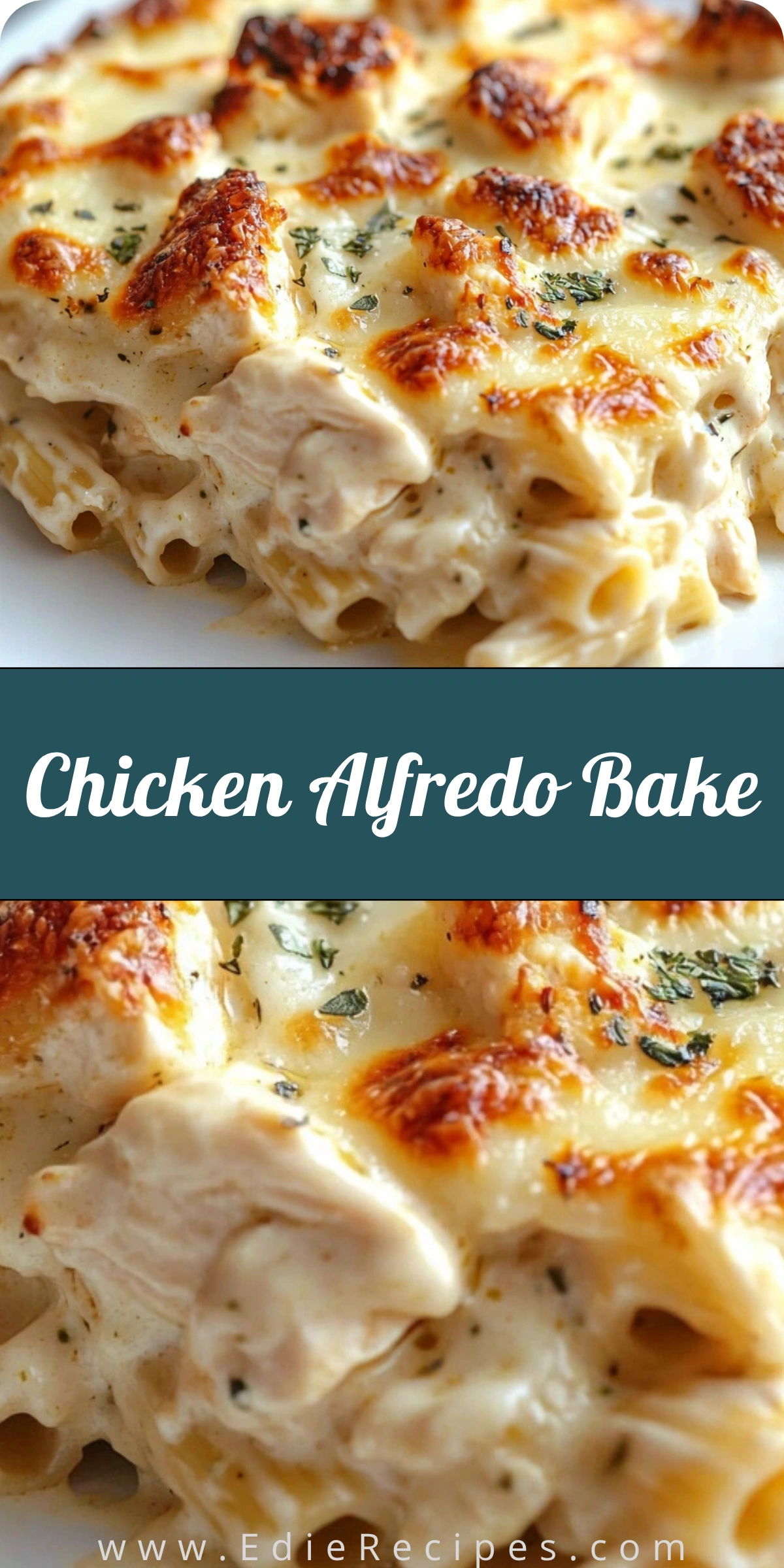 Chicken Alfredo Bake