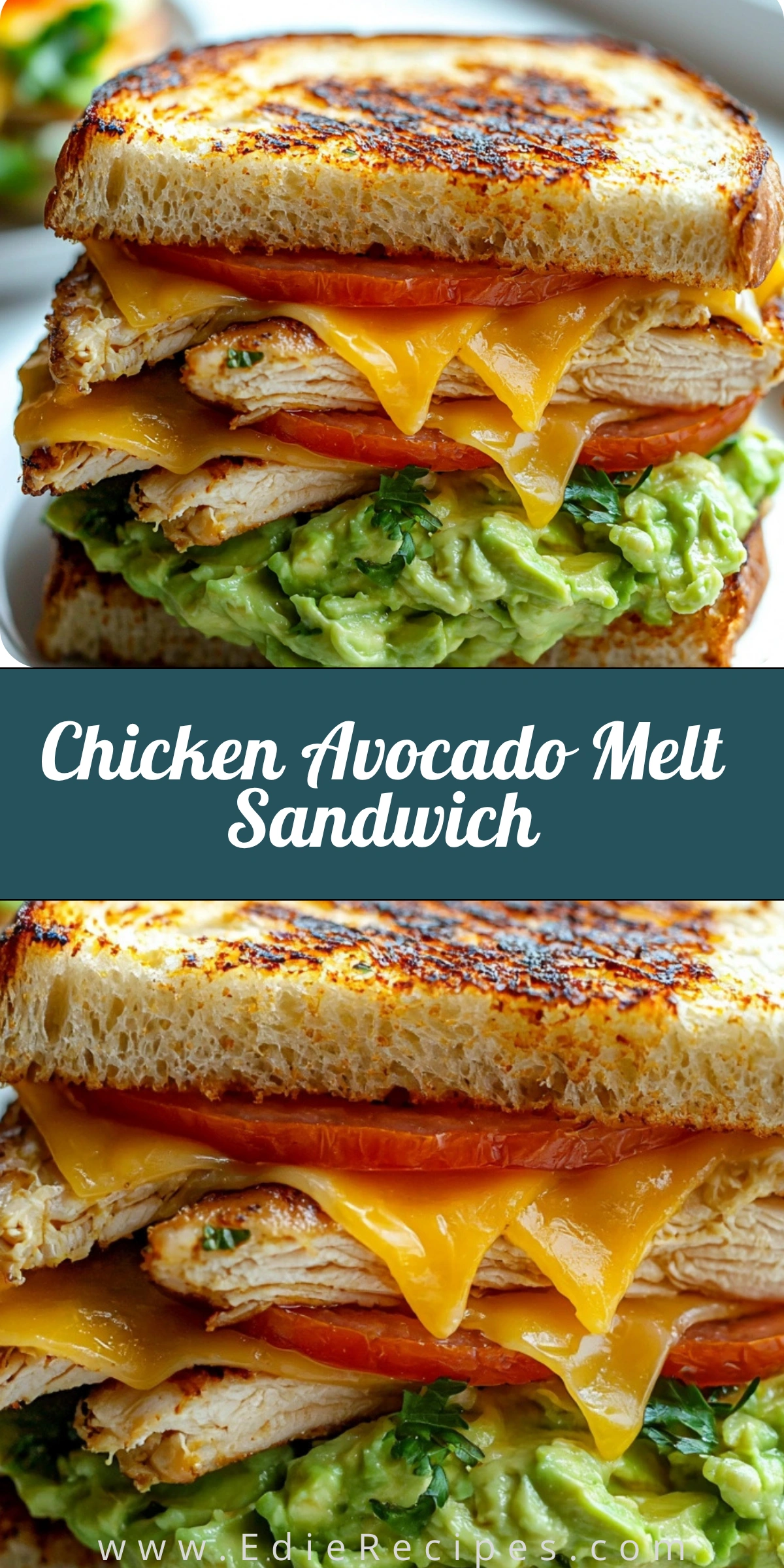 Chicken Avocado Melt Sandwich