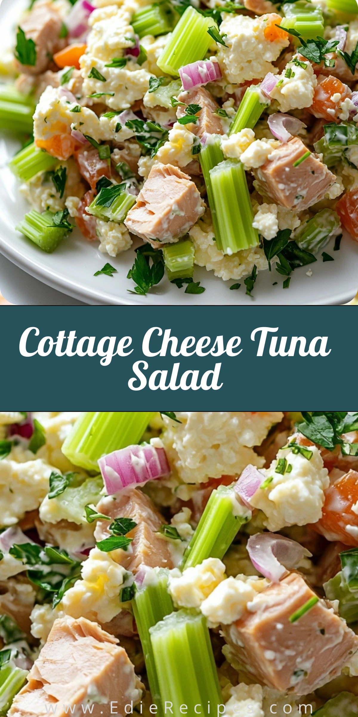 Cottage Cheese Tuna Salad