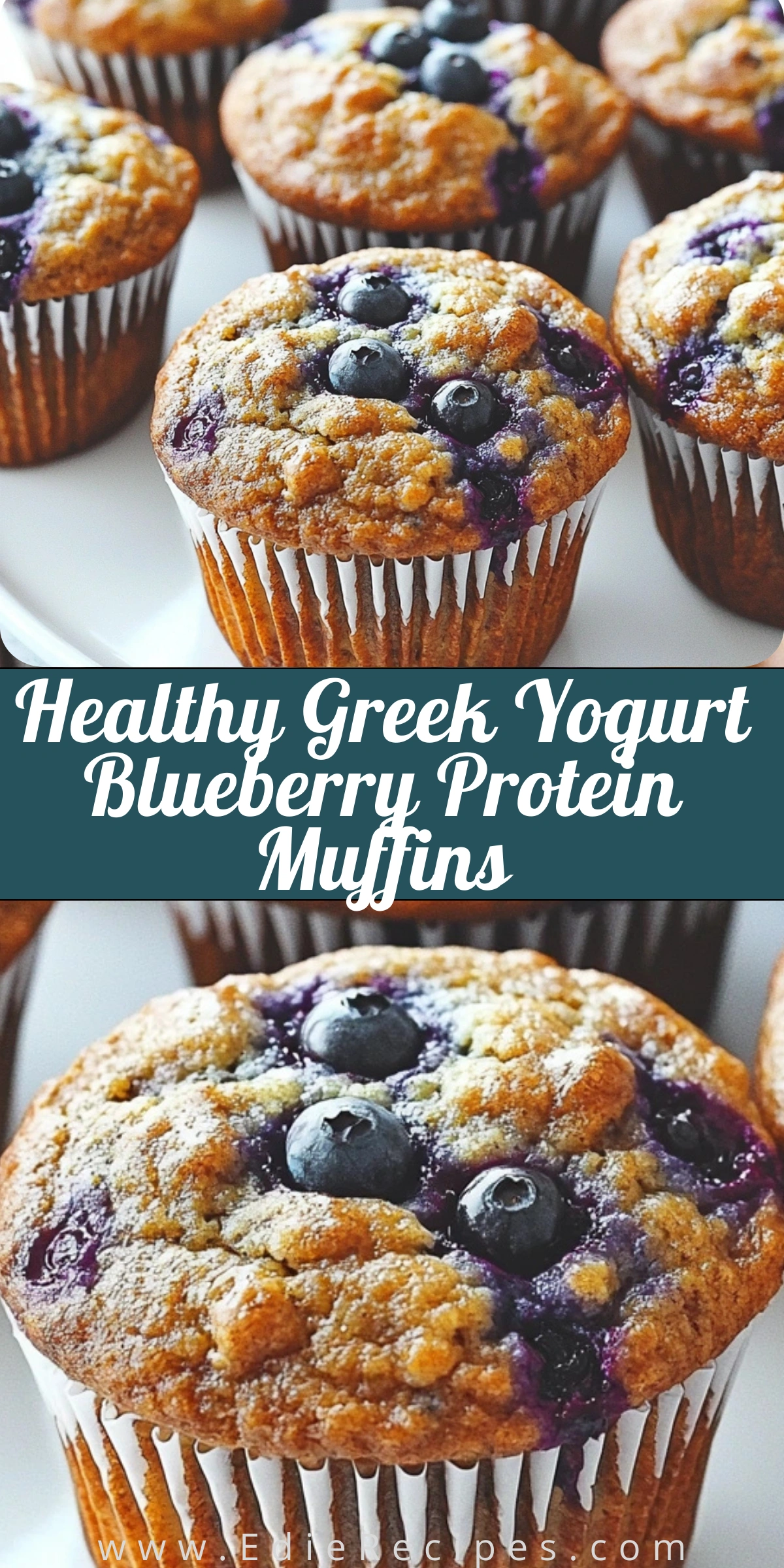 Healthy Greek Yogurt Blueberry Protein Muffins