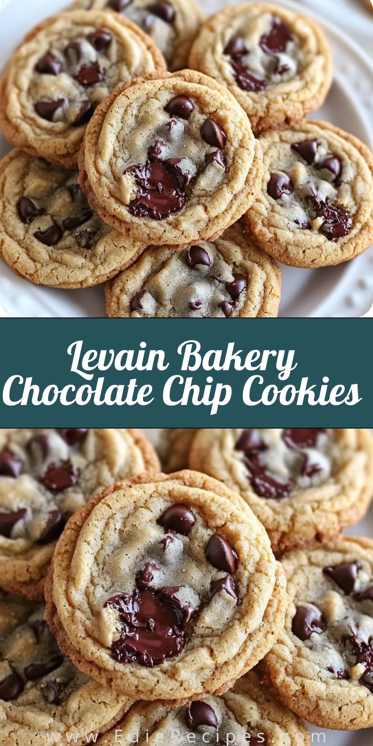 Levain Bakery Chocolate Chip Cookies