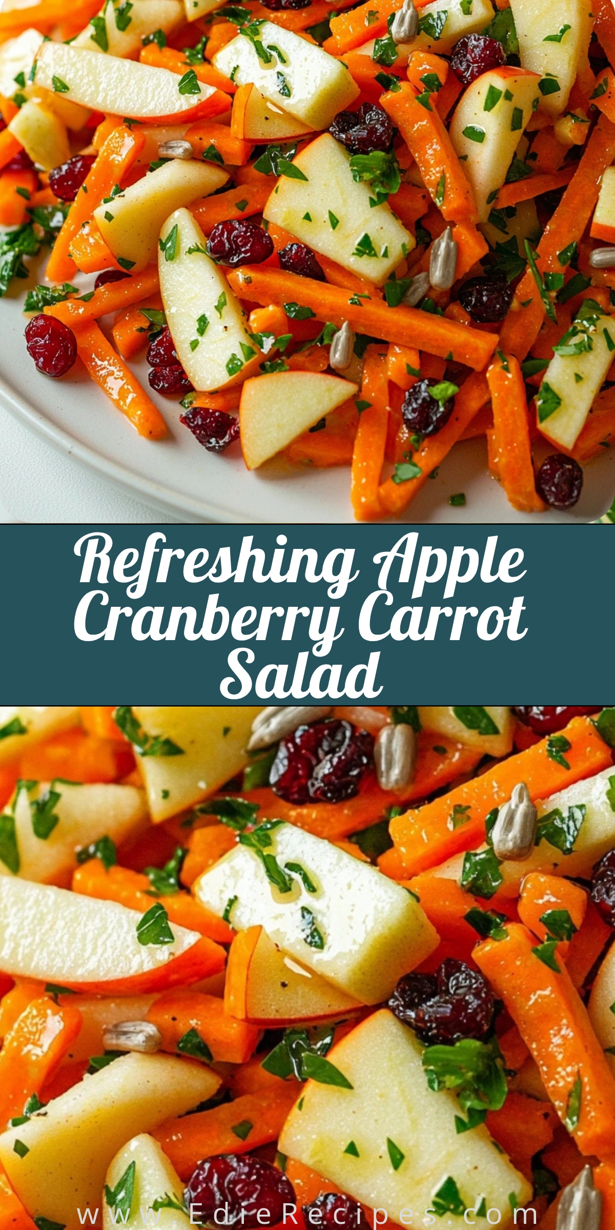 Refreshing Apple Cranberry Carrot Salad