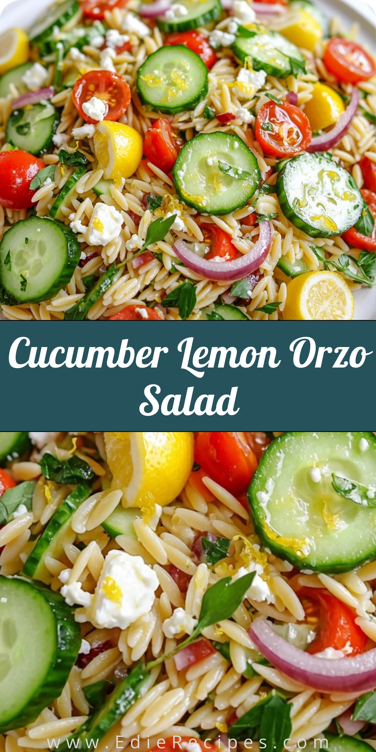 Cucumber Lemon Orzo Salad
