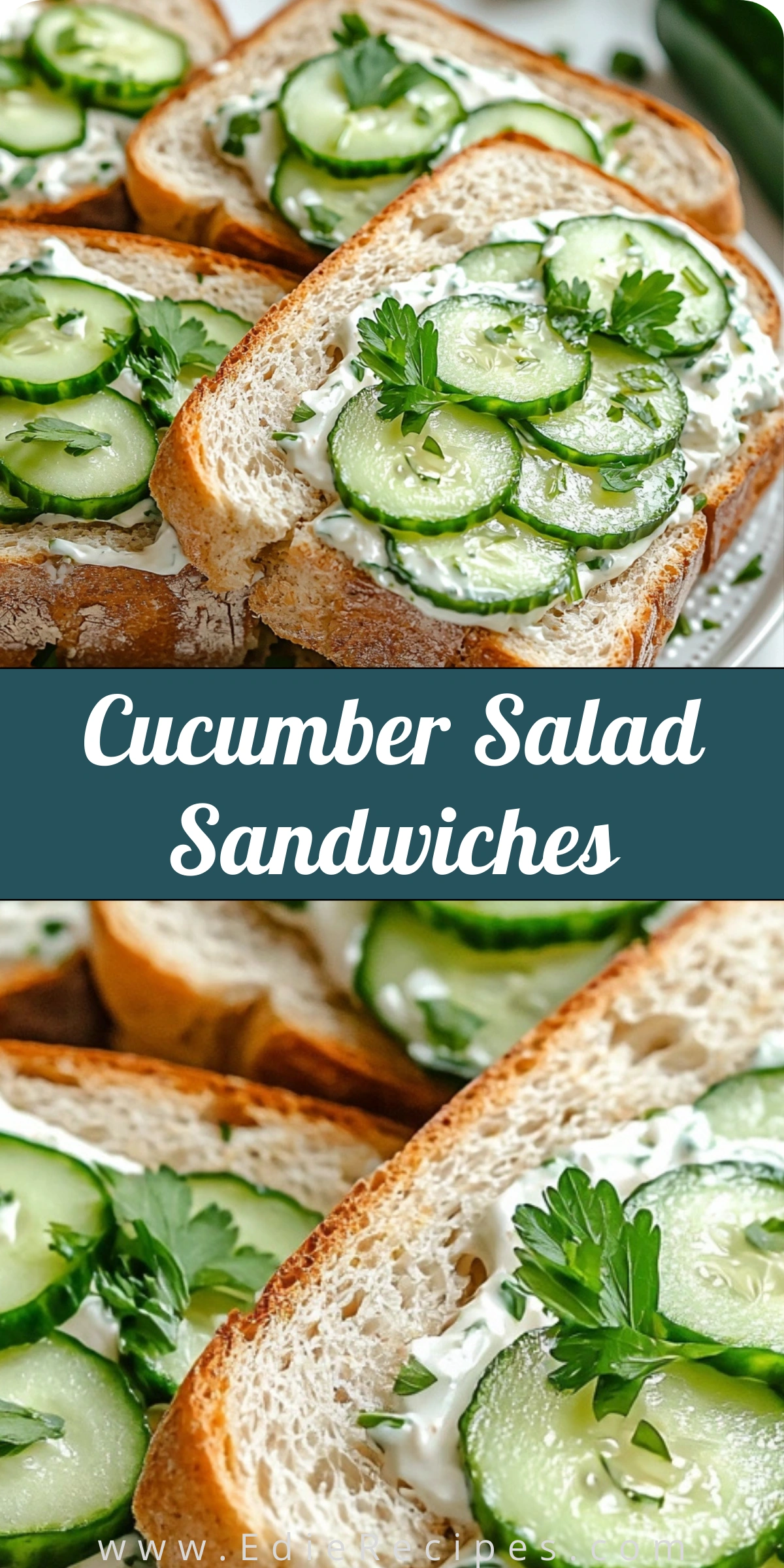 Cucumber Salad Sandwiches