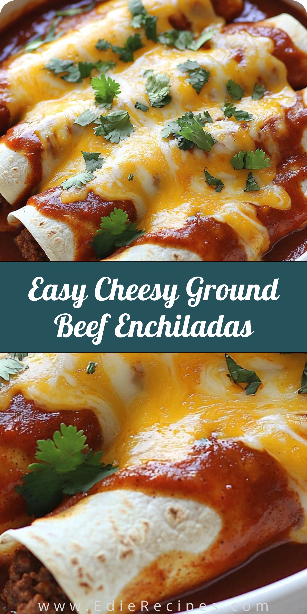 Easy Cheesy Ground Beef Enchiladas