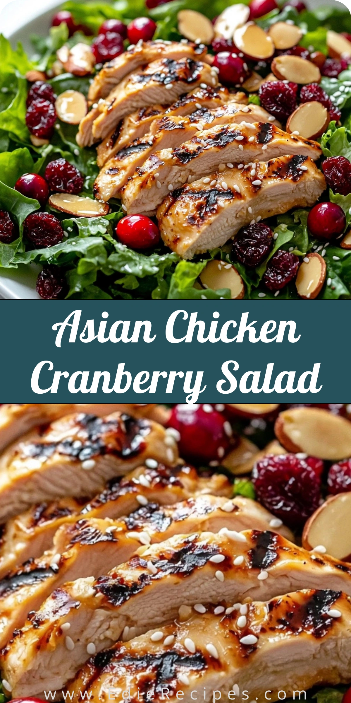 Asian Chicken Cranberry Salad