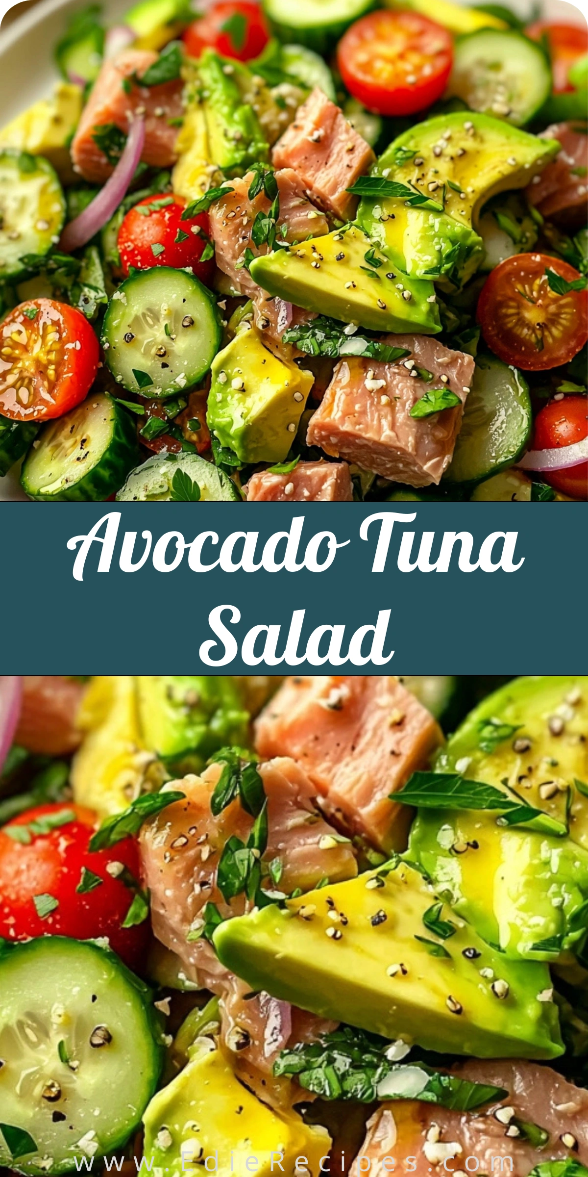 Avocado Tuna Salad
