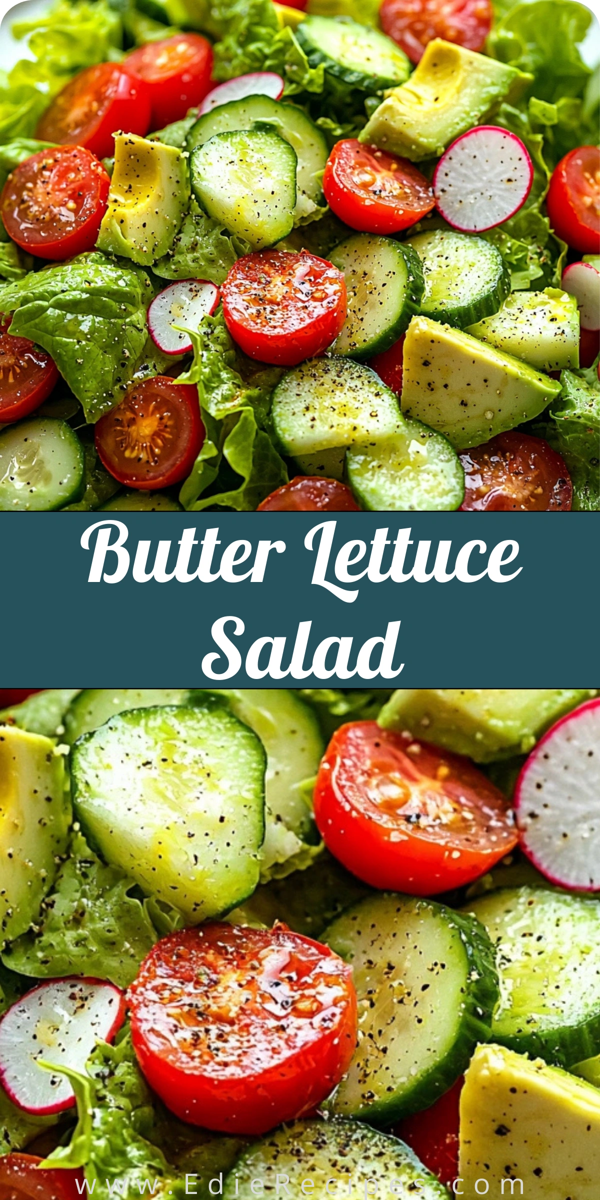Butter Lettuce Salad