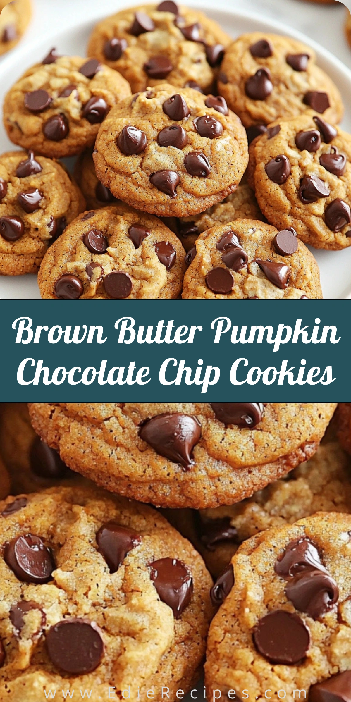 Brown Butter Pumpkin Chocolate Chip Cookies