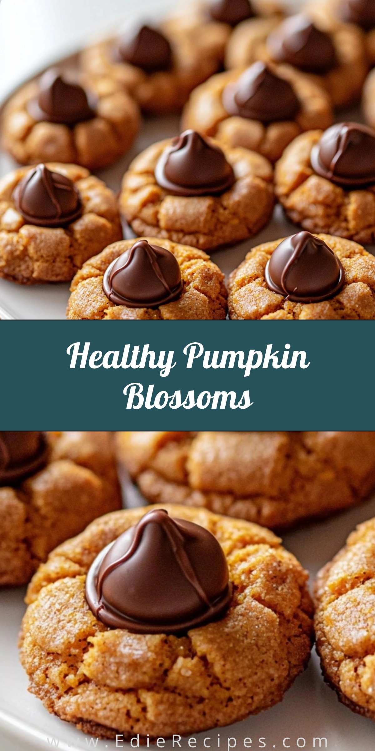 Healthy Pumpkin Blossoms