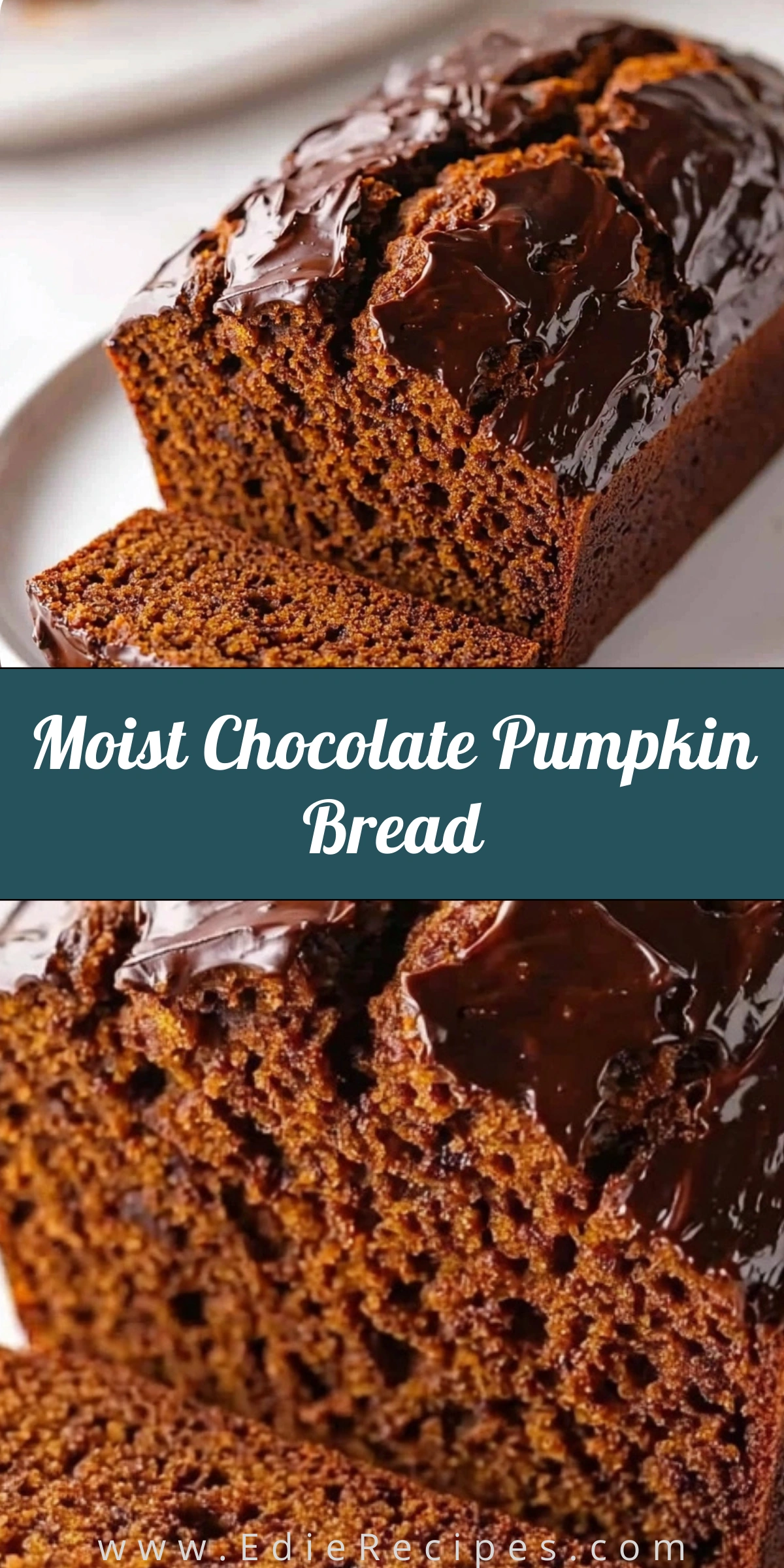 Moist Chocolate Pumpkin Bread