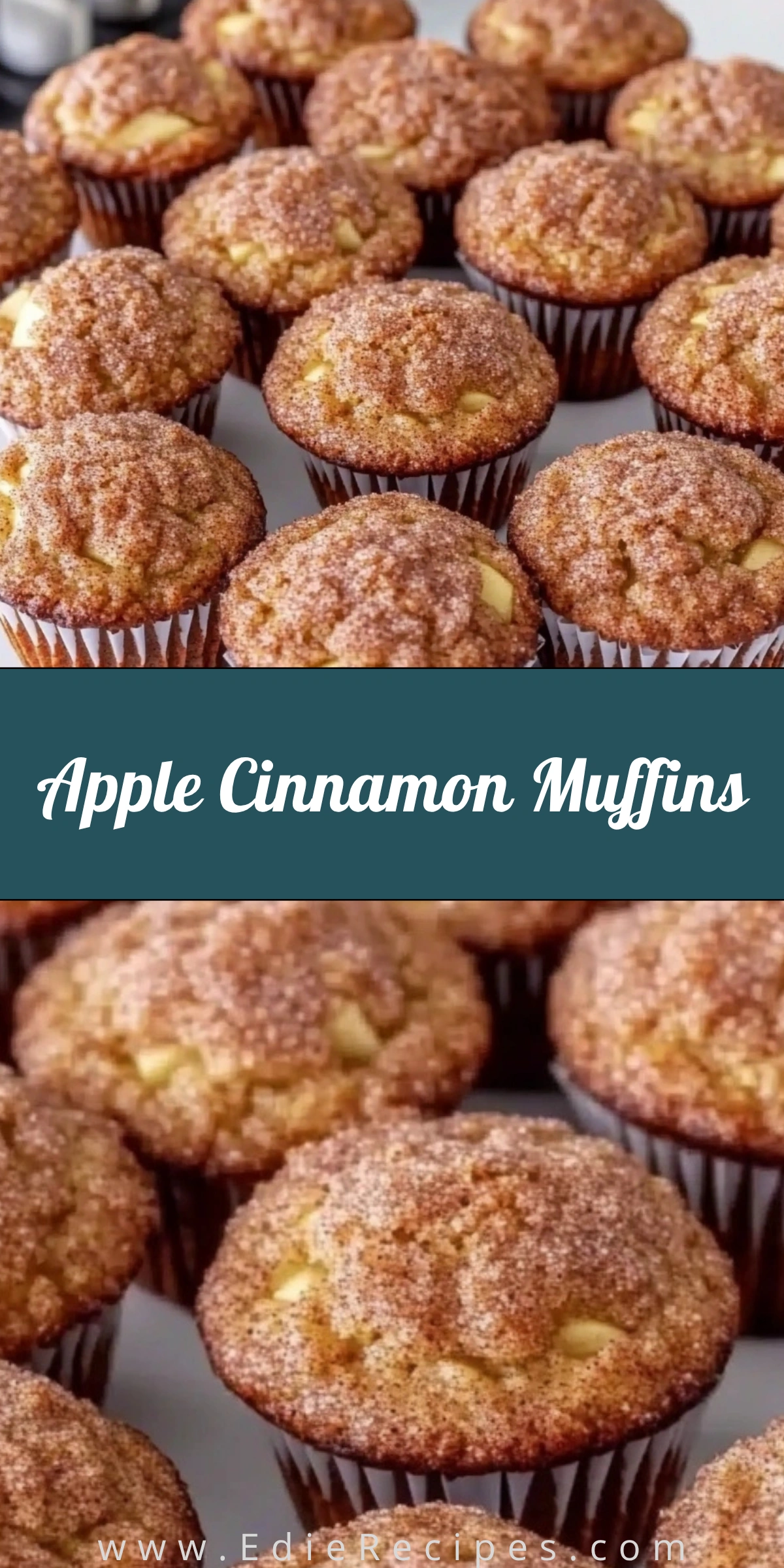 Apple Cinnamon Muffins
