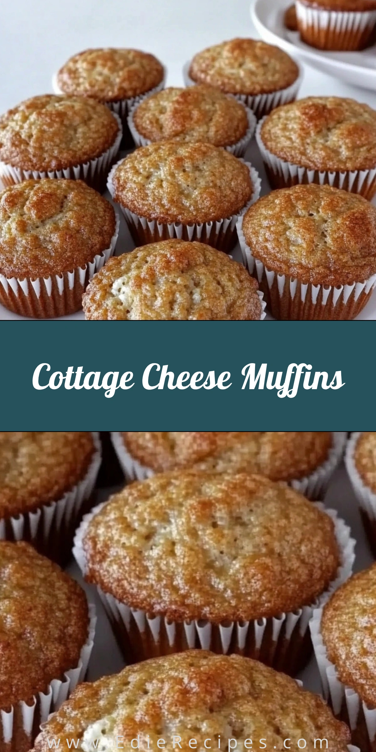 Cottage Cheese Muffins