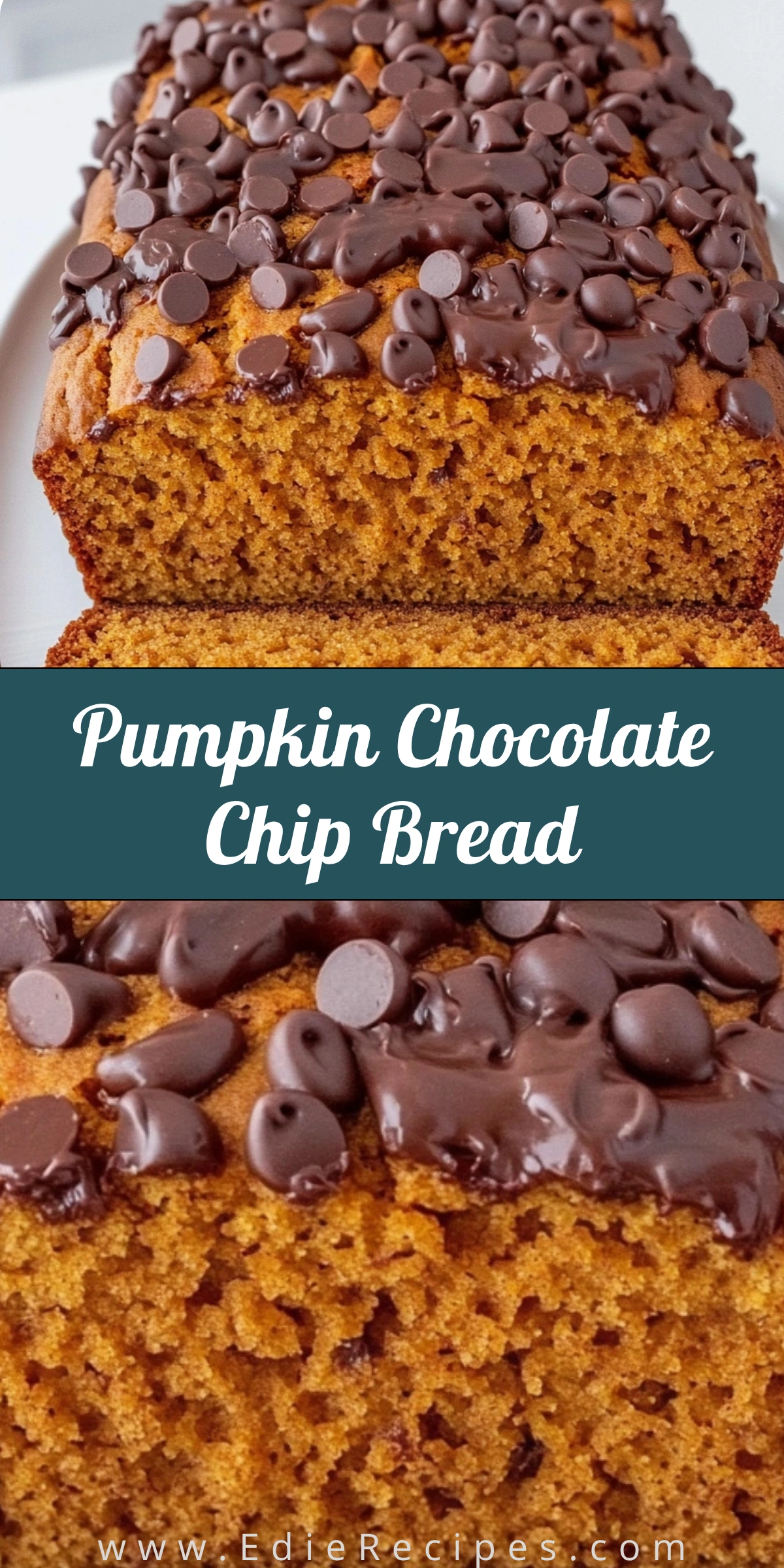 Pumpkin Chocolate Chip Bread