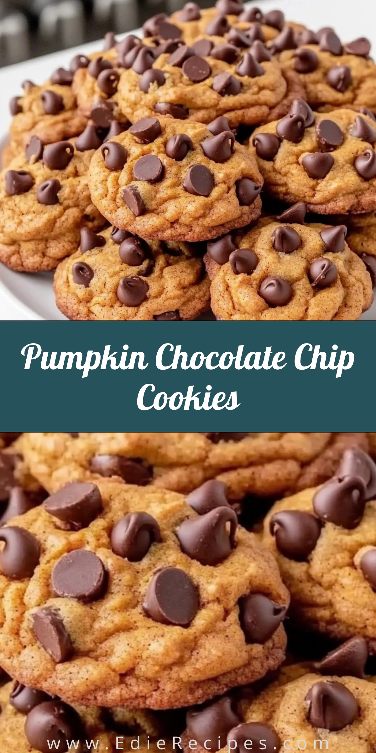Pumpkin Chocolate Chip Cookies