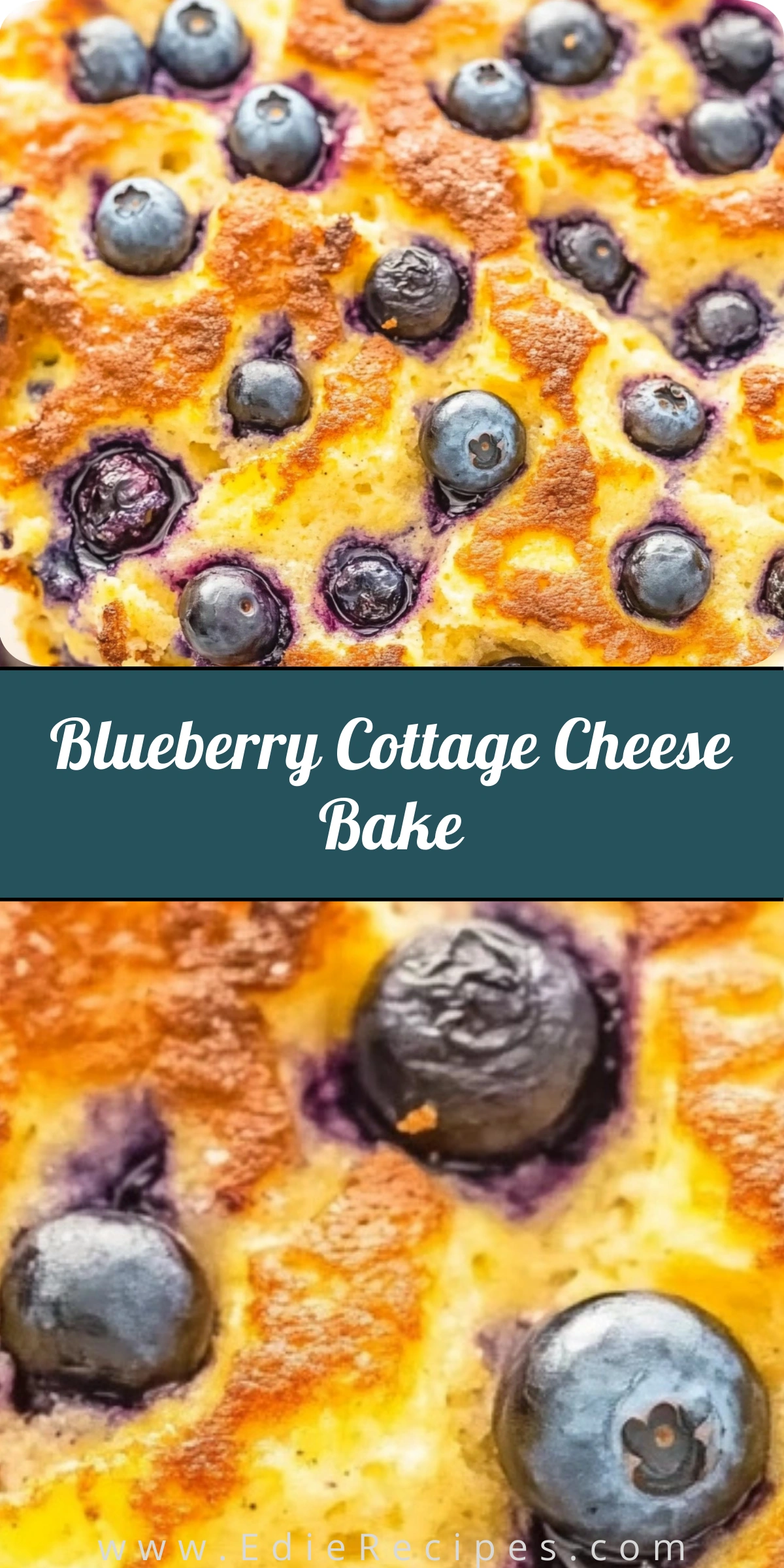 Blueberry Cottage Cheese Bake