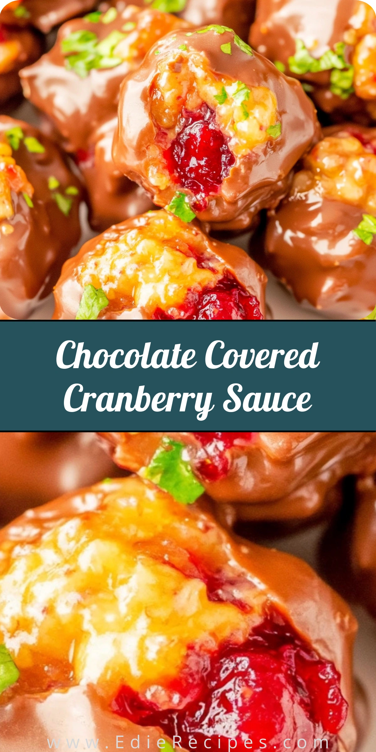Chocolate Covered Cranberry Sauce